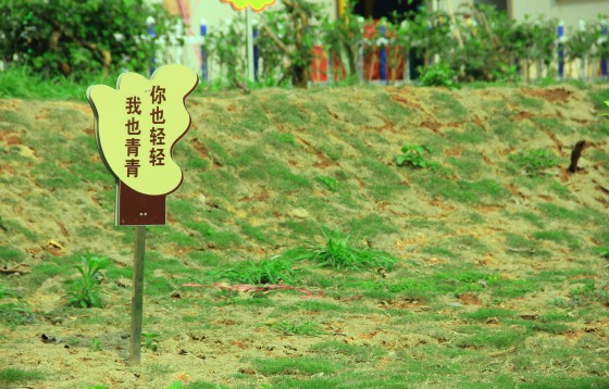 1557907519379755.jpg 20170710090544619.jpg