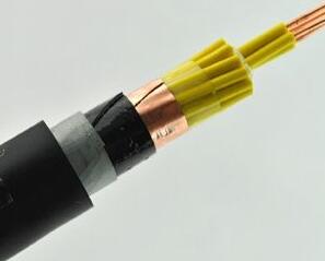 2121非凡·(中国游)体育官方网站