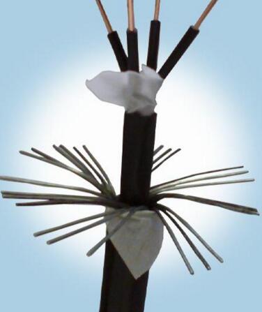 2121�Ƿ���(�й���)�����ٷ���վ