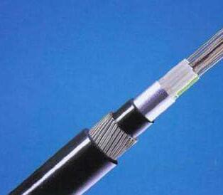 2121�Ƿ���(�й���)�����ٷ���վ