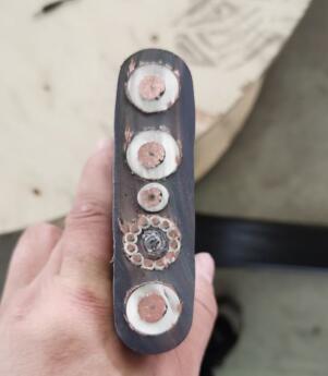 2121�Ƿ���(�й���)�����ٷ���վ