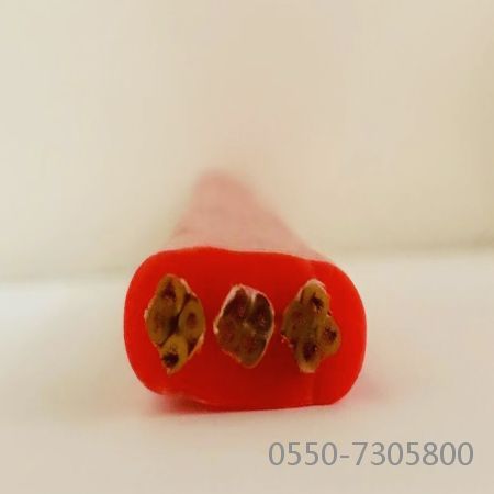 2121非凡·(中国游)体育官方网站