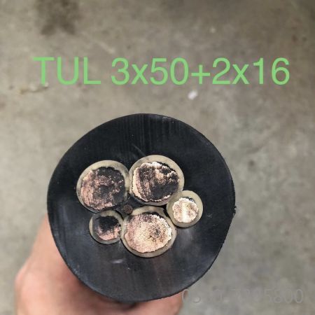 2121�Ƿ���(�й���)�����ٷ���վ