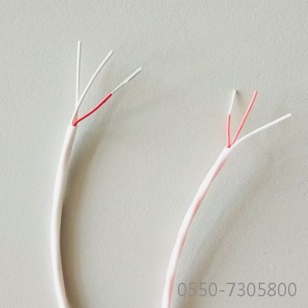 2121非凡·(中国游)体育官方网站