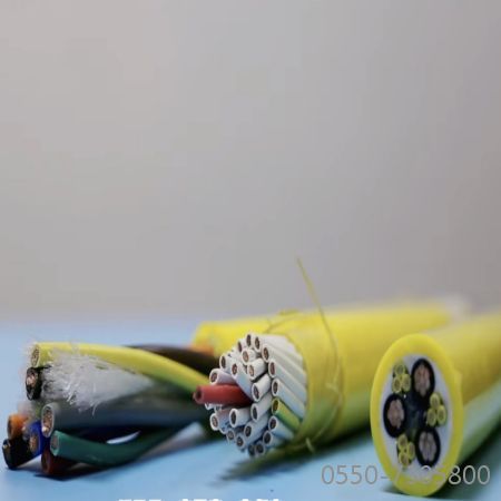 2121�Ƿ���(�й���)�����ٷ���վ