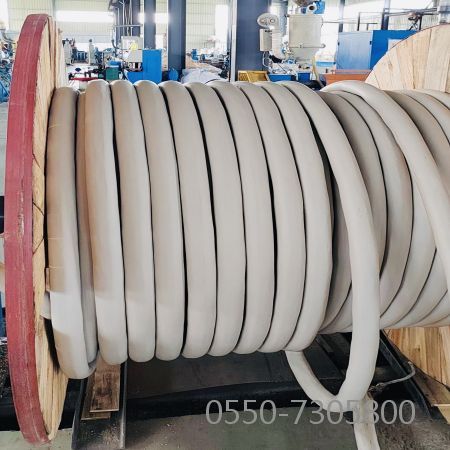 2121非凡·(中国游)体育官方网站