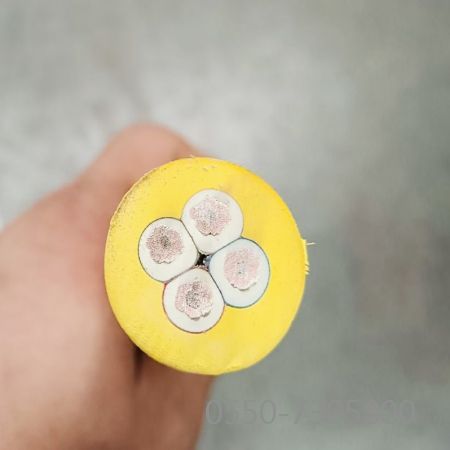 2121�Ƿ���(�й���)�����ٷ���վ