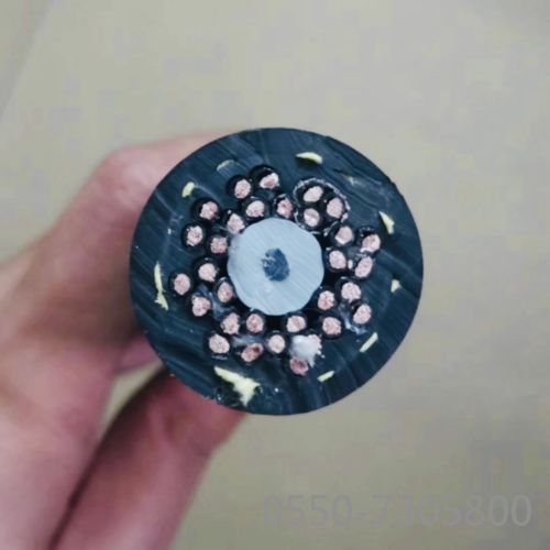2121非凡·(中国游)体育官方网站