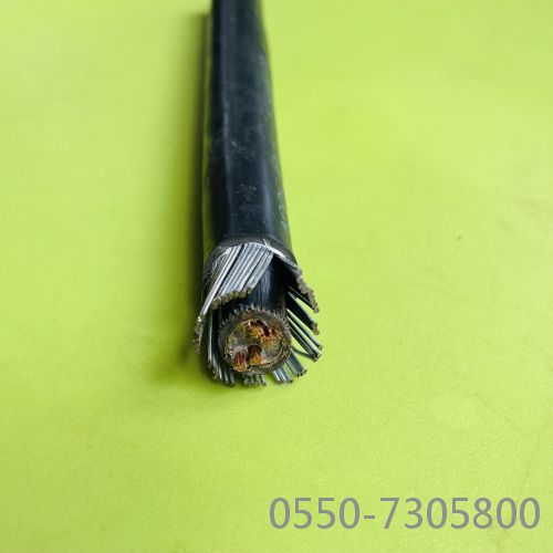 2121非凡·(中国游)体育官方网站