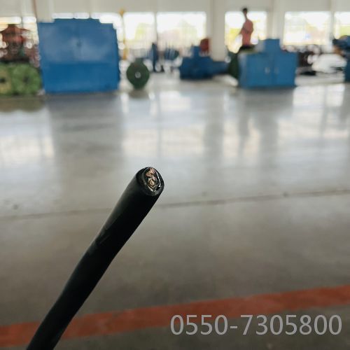 2121非凡·(中国游)体育官方网站
