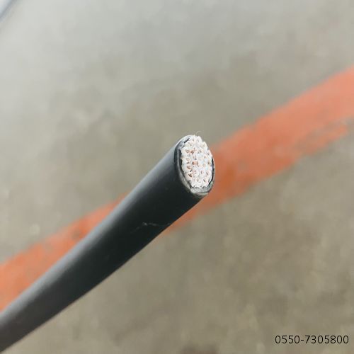 2121非凡·(中国游)体育官方网站