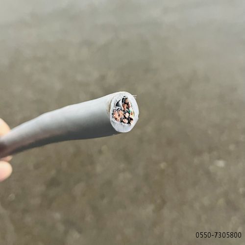2121�Ƿ���(�й���)�����ٷ���վ