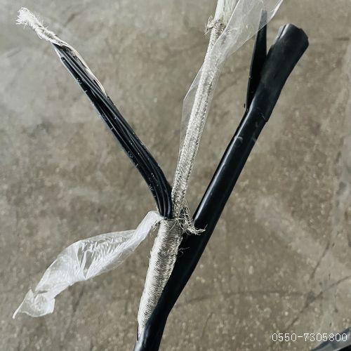 2121非凡·(中国游)体育官方网站