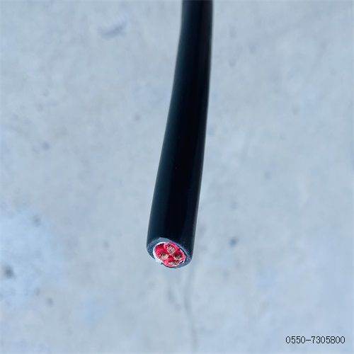 2121非凡·(中国游)体育官方网站