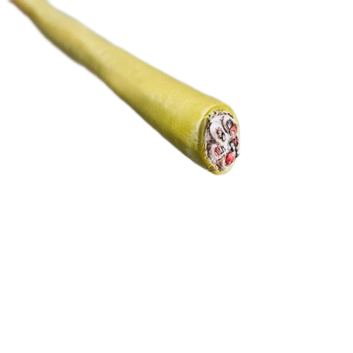 2121非凡·(中国游)体育官方网站