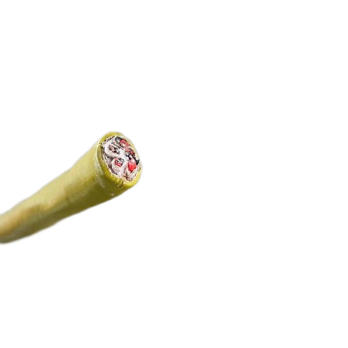 2121非凡·(中国游)体育官方网站