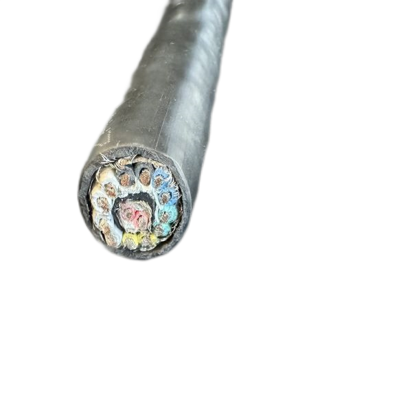 2121非凡·(中国游)体育官方网站