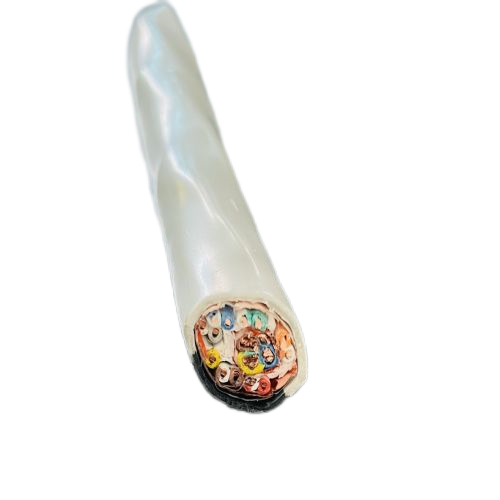 2121非凡·(中国游)体育官方网站