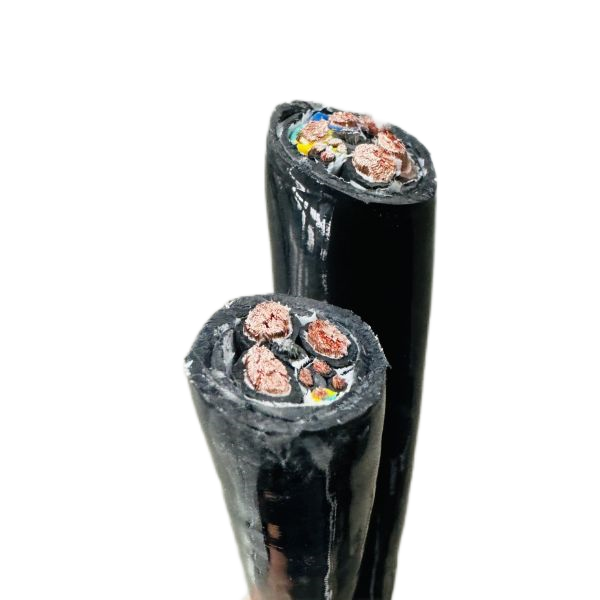 2121非凡·(中国游)体育官方网站