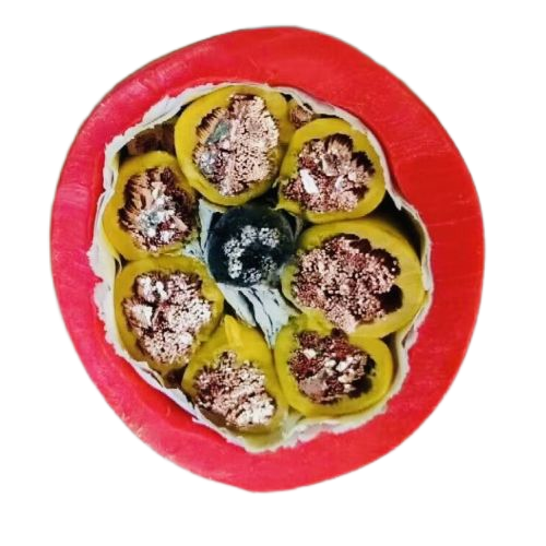 2121�Ƿ���(�й���)�����ٷ���վ